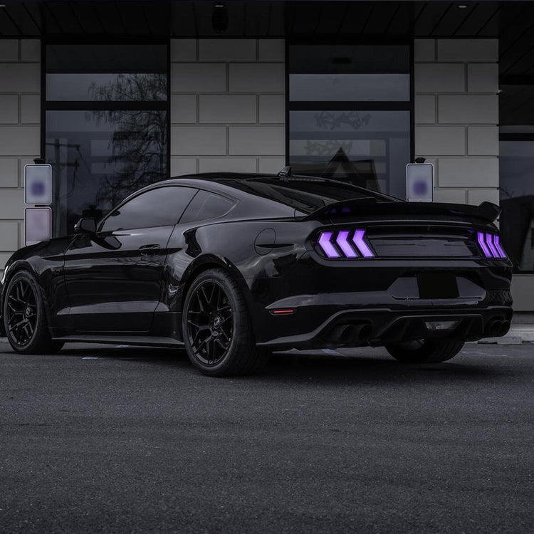 Ford TailLights